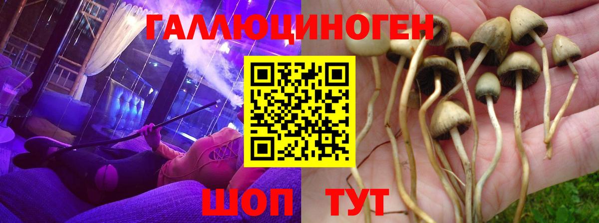 Псилоцибиновые грибы мицелий Тула